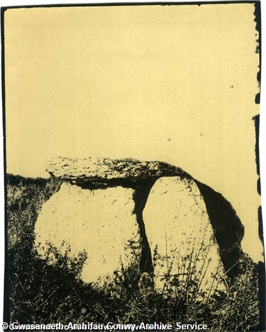 81\7b5f8a-3433-48d1-ae53-5d5d99a535cf.jpg