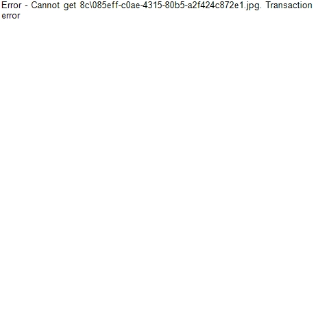 8c\085eff-c0ae-4315-80b5-a2f424c872e1.jpg