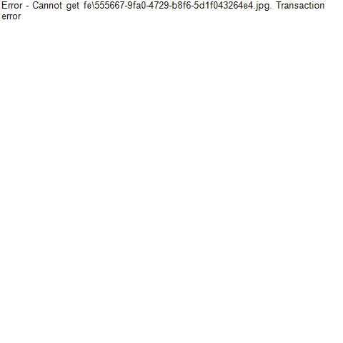 fe\555667-9fa0-4729-b8f6-5d1f043264e4.jpg