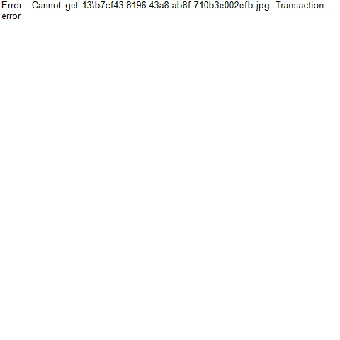 13\b7cf43-8196-43a8-ab8f-710b3e002efb.jpg