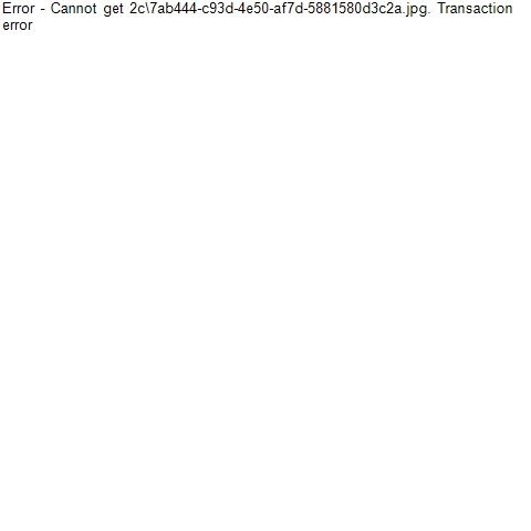 2c\7ab444-c93d-4e50-af7d-5881580d3c2a.jpg
