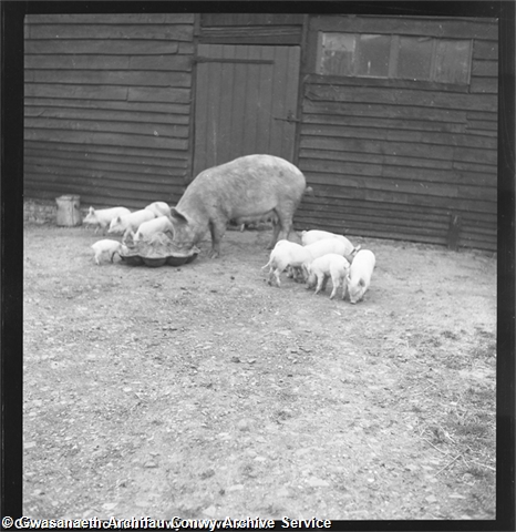 3e\0dd271-ffdf-4baa-a6f2-5ece4ec9f3d3.jpg