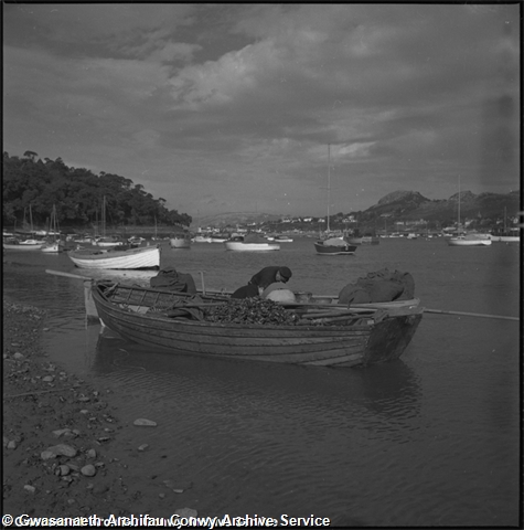 52\67386c-d16e-4782-9fa8-0cadde445ccb.jpg