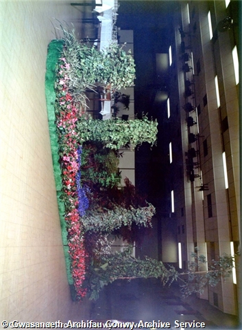 98\452b17-a171-4803-8289-efa07ee0866b.jpg