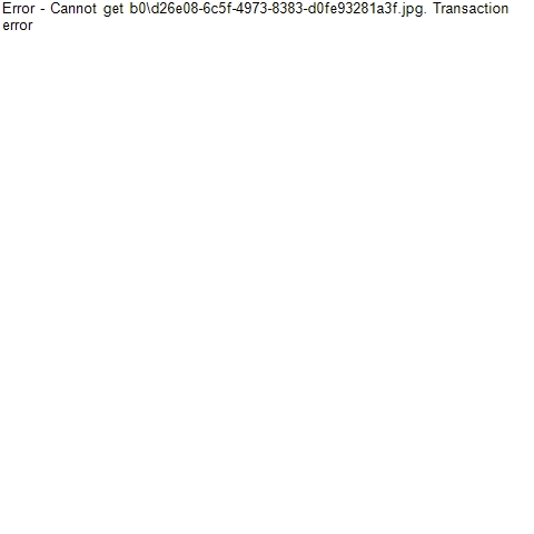 b0\d26e08-6c5f-4973-8383-d0fe93281a3f.jpg